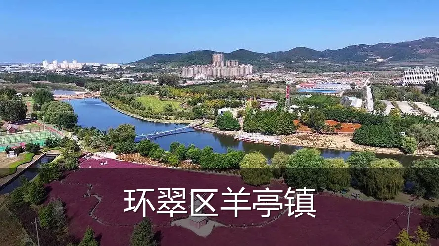 环翠区羊亭镇