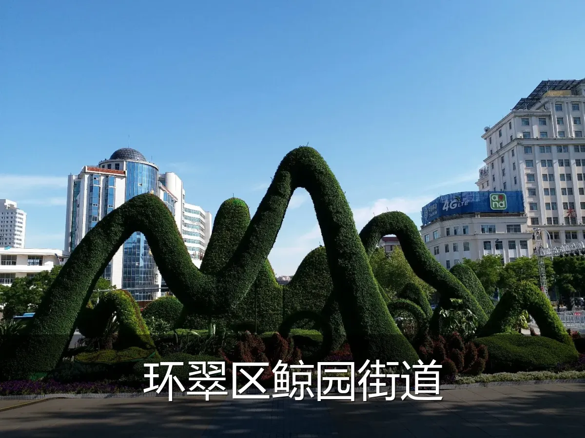 环翠区鲸园街道